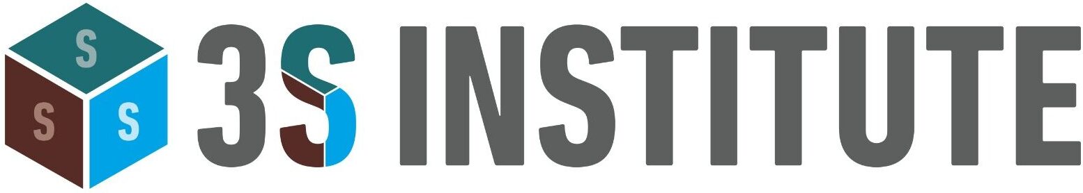 3S INSTITUTE